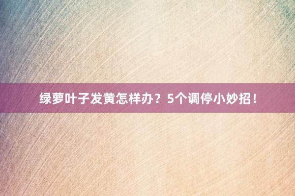 绿萝叶子发黄怎样办？5个调停小妙招！